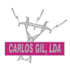 CentralGest - Caso de Sucesso de Carlos Gil