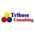 CentralGest - Caso de Sucesso da Tribase
